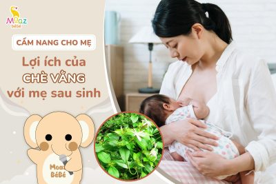 Những lợi ích của chè vằng đối với mẹ sau sinh