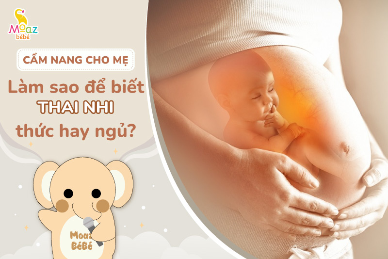 Làm sao để biết thai nhi đang thức hay ngủ?