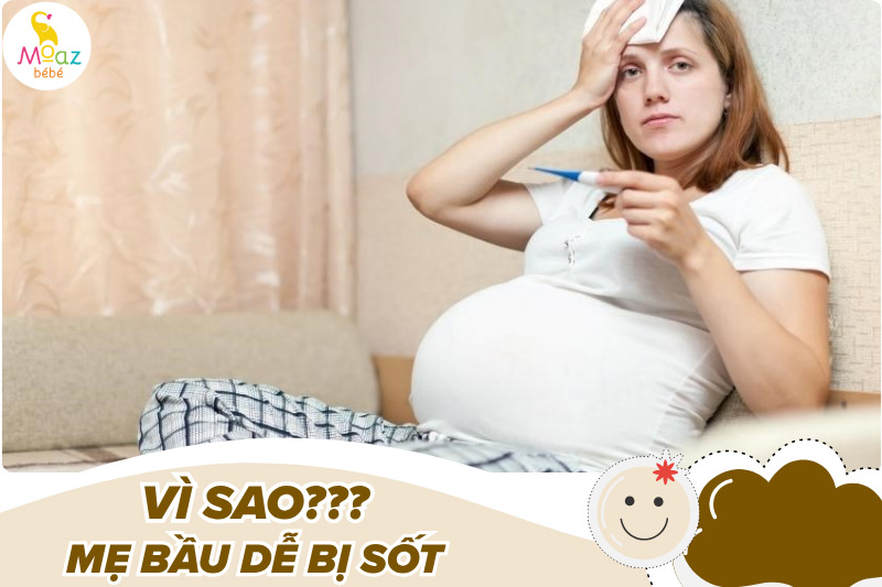 Vì sao bà bầu dễ bị sốt hơn người bình thường?