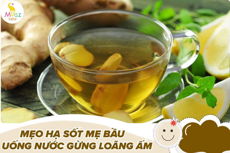 Uống nước gừng loãng ấm hạ sốt cho mẹ bầu