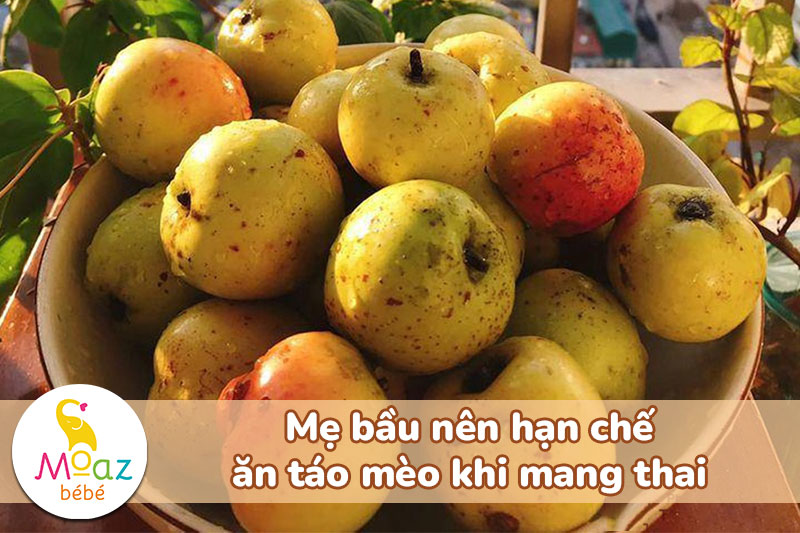 Mẹ bầu nên hạn chế ăn táo mèo khi mang thai