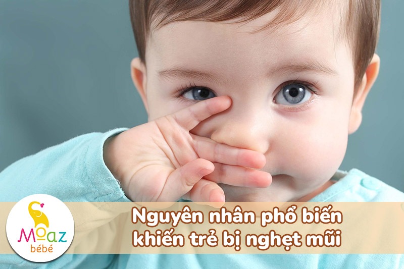Trẻ sơ sinh bị nghẹt mũi phải làm sao? Cách chăm bé đúng cách 1 Nguyên nhân phổ biến khiến trẻ bị nghẹt mũi