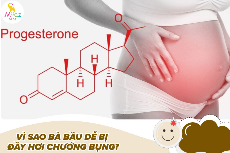 Cách chữa đầy hơi cho bà bầu nhanh nhất, an toàn, hiệu quả 2 Vì sao bà bầu dễ bị đầy hơi chướng bụng?