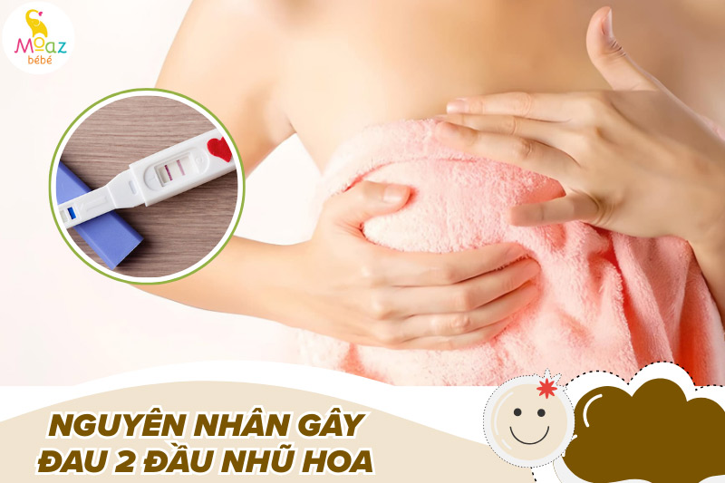 Đau 2 đầu nhũ hoa là hiện tượng gì? Có phải mang thai không? 2 Nguyên nhân gây đau 2 đầu nhũ hoa thường gặp