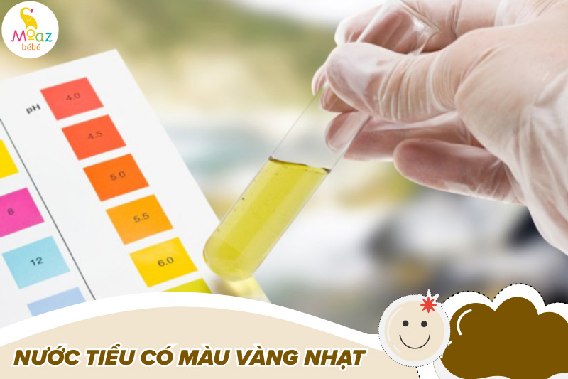 Có hay không? Dấu hiệu chắc chắn mang thai bé trai 5 dấu hiệu mang thai bé trai qua nước tiểu