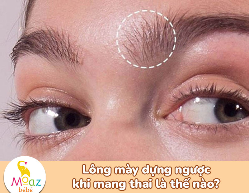 Lông mày dựng khi mang thai là như thế nào?