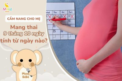 Mang thai 9 tháng 10 ngày tính từ khi nào
