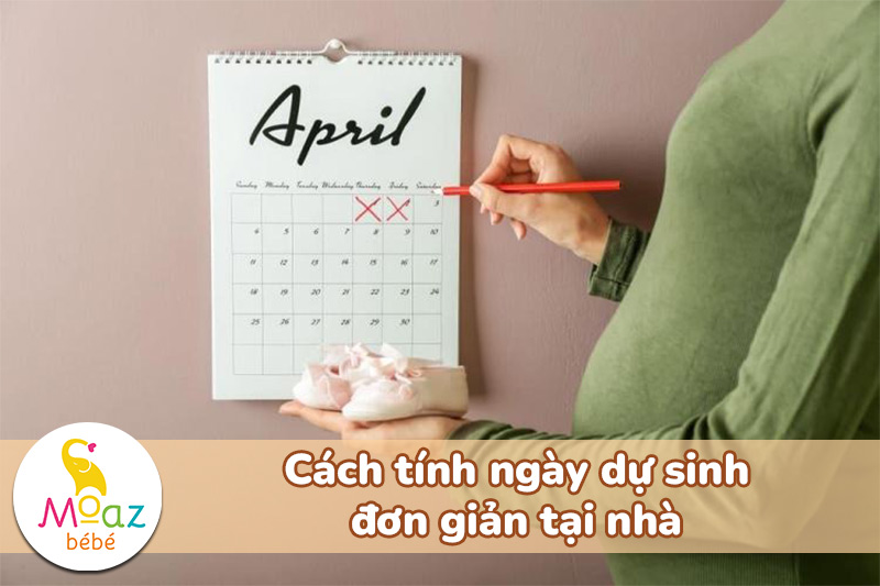 Cách tính ngày dự sinh đơn giản tại nhà
