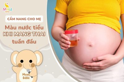 Màu nước tiểu khi mang thai tuần đầu như thế nào?