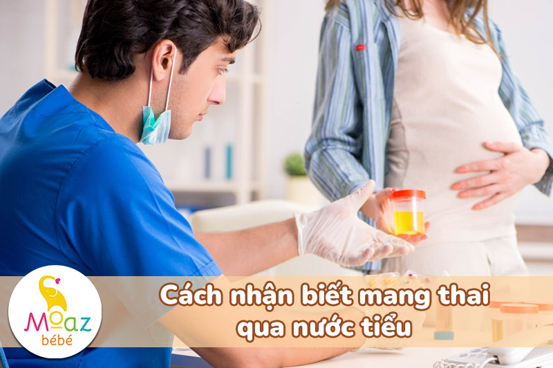 Cách nhận biết mang thai qua nước tiểu