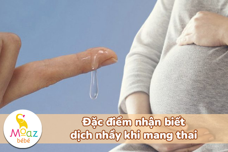 Ra dịch nhầy màu trắng trong có phải mang thai không? Một số điều cần lưu ý 2 Đặc điểm nhận biết dịch nhầy khi mang thai