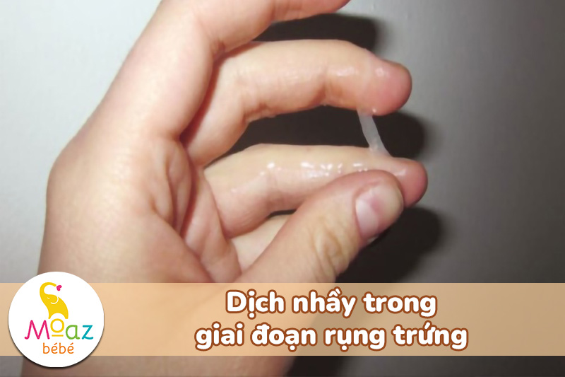 Ra dịch nhầy màu trắng trong có phải mang thai không? Một số điều cần lưu ý 3 Dịch nhầy trong giai đoạn rụng trứng