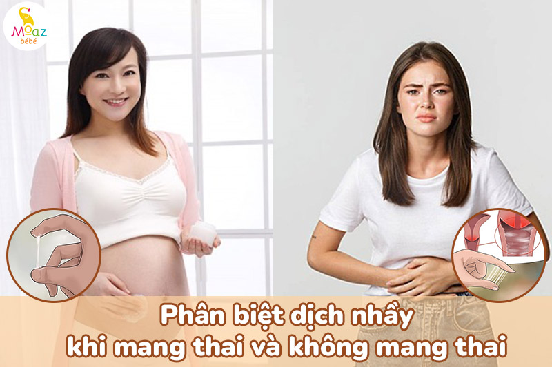 Ra dịch nhầy màu trắng trong có phải mang thai không? Một số điều cần lưu ý 4 Phân biệt dịch nhầy khi mang thai và không mang thai