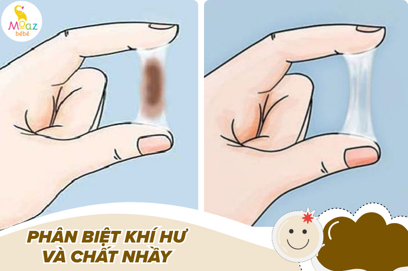 Ra khí hư màu nâu có phải mang thai không? Giải đáp rõ ràng, dễ hiểu 2 Phân biệt khí hư và chất nhầy vùng kín