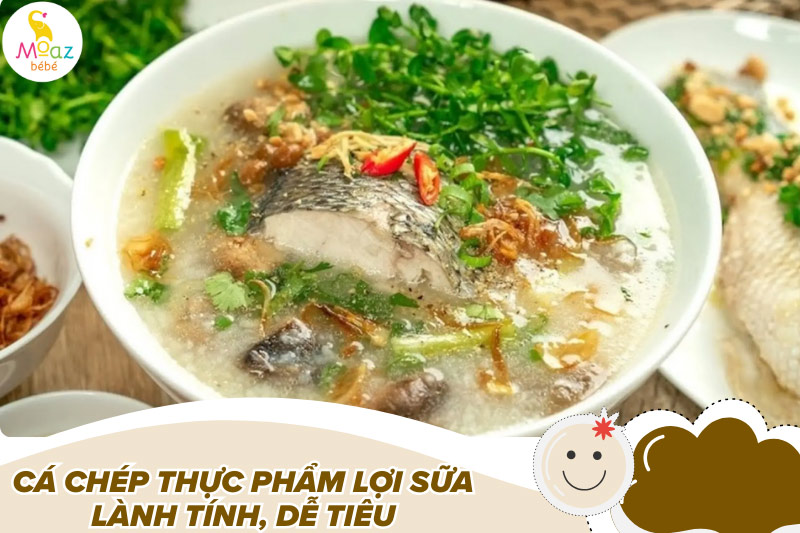 12 thuc pham cuc loi sua 5