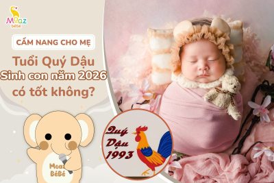 Tuổi Quý Dậu 1993 sinh con năm 2026 có tốt không?
