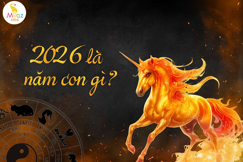 Tuổi Giáp Tuất 1994 sinh con năm 2026 có tốt không? 2 Năm 2026 là năm gì?