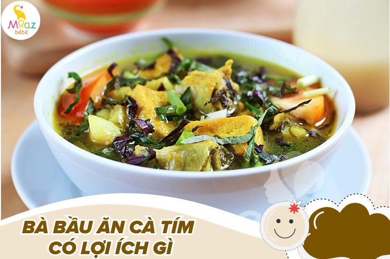 Bầu ăn cà tím được không? Lời khuyên từ chuyên gia theo từng giai đoạn thai kỳ 2 Bà bầu ăn cà tím có lợi ích gì không?