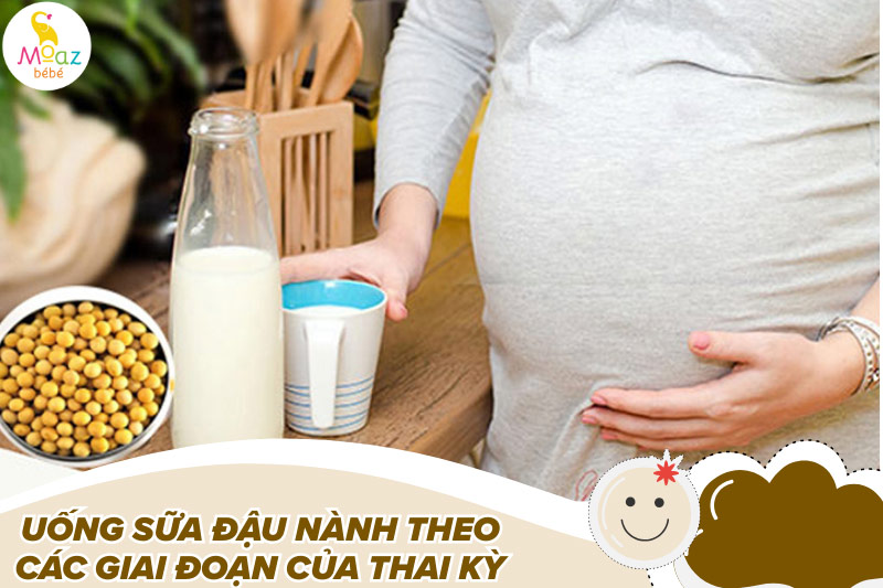 Uống sữa đậu nành theo các giai đoạn của thai kỳ