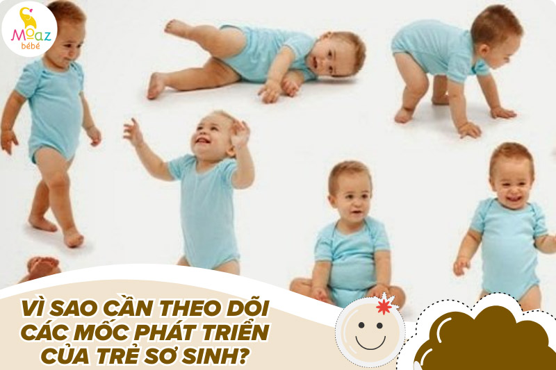 Các mốc phát triển của trẻ sơ sinh mẹ nên biết để hiểu con hơn 1 Vì sao cha mẹ cần theo dõi các mốc phát triển của trẻ sơ sinh?