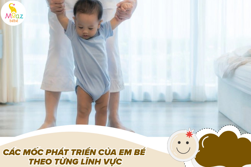 Các mốc phát triển của trẻ sơ sinh mẹ nên biết để hiểu con hơn 4 Các mốc phát triển của em bé theo từng lĩnh vực