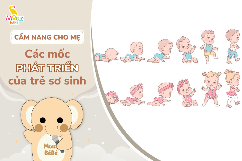 Các mốc phát triển của trẻ sơ sinh mẹ nên biết để hiểu con hơn 2 Các mốc phát triển của trẻ sơ sinh