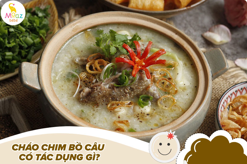 Cách nấu cháo chim bồ câu đơn giản, dễ làm nhất 1 Cháo chim bồ câu có tác dụng gì?
