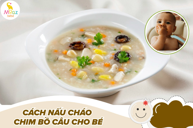 Cách nấu cháo chim bồ câu đơn giản, dễ làm nhất 4 Cách nấu cháo chim bồ câu cho bé