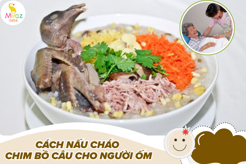 Cách nấu cháo chim bồ câu đơn giản, dễ làm nhất 6 Cách nấu cháo chim bồ câu cho người ốm