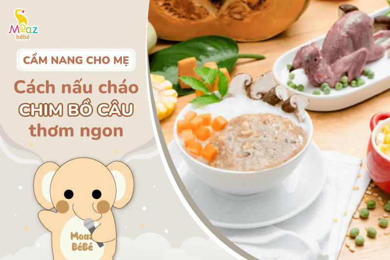 Cách nấu cháo chim bồ câu đơn giản, dễ làm nhất 3 Cách nấu cháo chim bồ câu