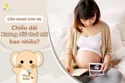 Chiều dài xương đùi thai nhi bao nhiêu là bình thường?