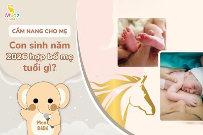 Con sinh năm 2026 hợp với bố mẹ tuổi gì