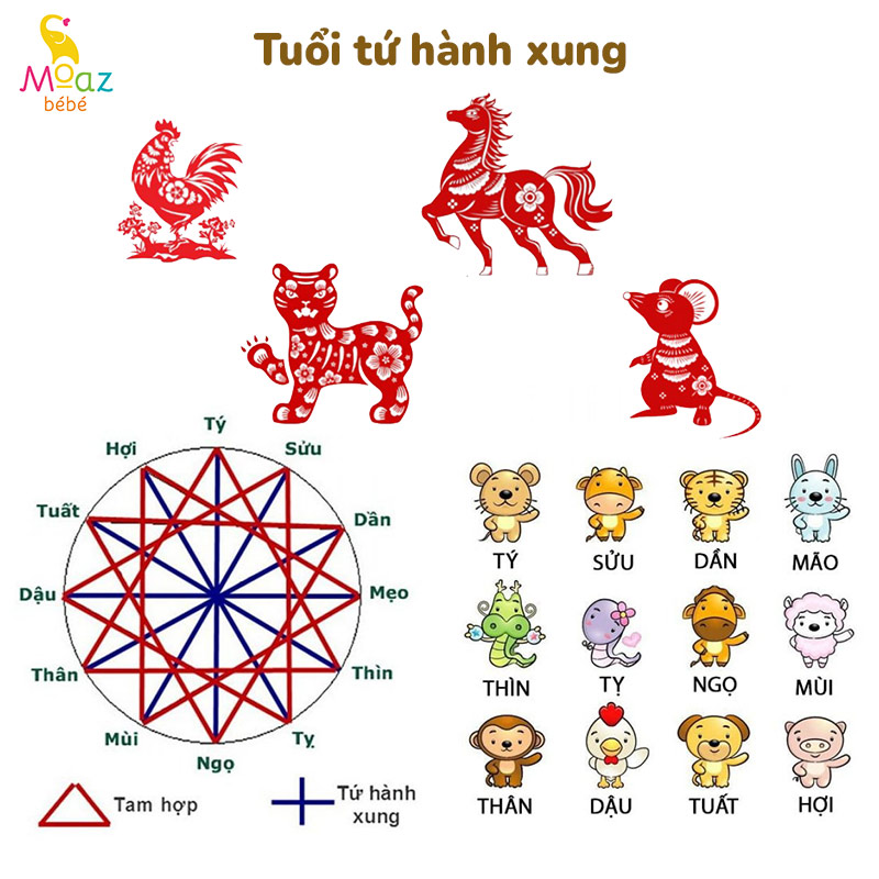 con sinh nam 2026 hop voi bo me tuoi gi 11