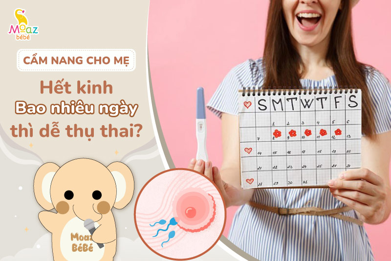 Hết kinh bao nhiêu ngày thì dễ thụ thai? thời điểm dễ thụ thai nhất 1 Hết kinh bao nhiêu ngày thì dễ thụ thai