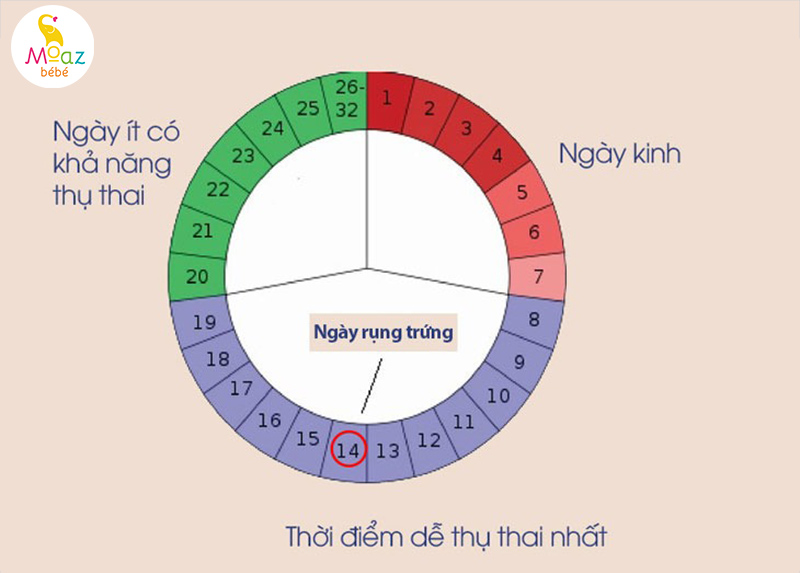 Hết kinh bao nhiêu ngày thì dễ thụ thai? thời điểm dễ thụ thai nhất 2 Cách tính ngày dễ thụ thai sau khi hết kinh