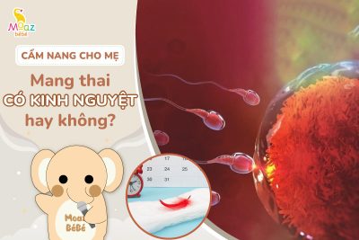 Phụ nữ mang thai có kinh nguyệt không?