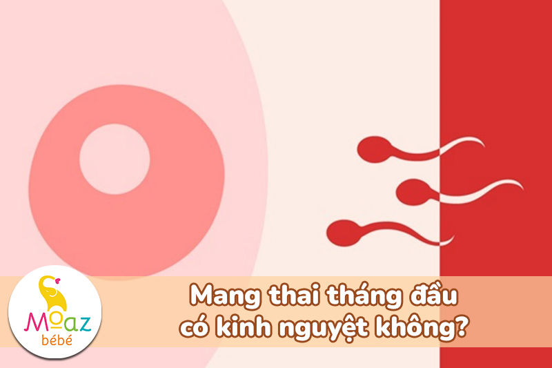 Mang thai có kinh nguyệt không? Sự thật nhiều người nhầm lẫn 2 Mang thai tháng đầu có kinh nguyệt không?