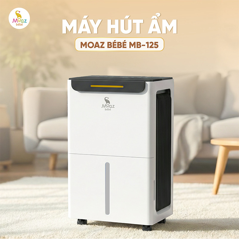 Máy hút ẩm Moaz BéBé MB – 125 5 may hut am mb125 1