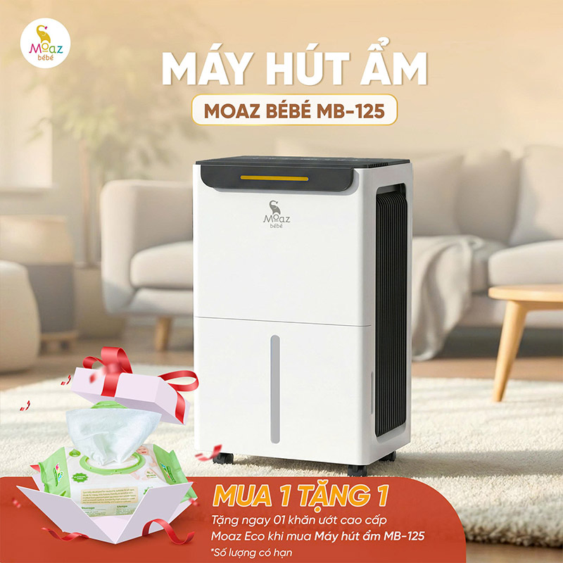 Máy hút ẩm Moaz BéBé MB – 125 1 may hut am mb125 4