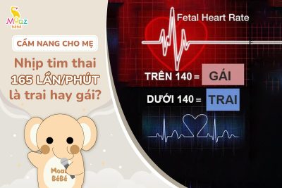 Nhịp tim thai 165 lần/phút là trai hay gái?