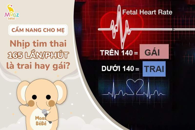 Nhịp tim thai 165 lần/phút là trai hay gái? Cách đoán giới tính qua nhịp tim thai 2 Nhịp tim thai 165 lần/phút là trai hay gái?
