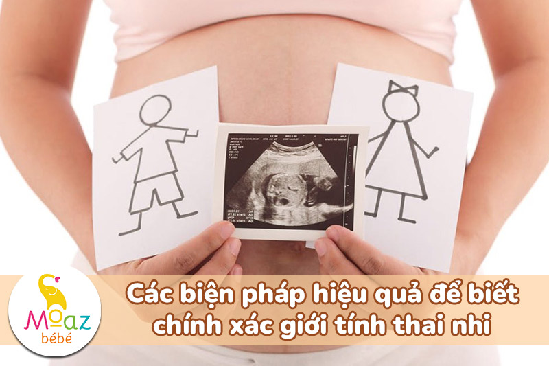 Nhịp tim thai 165 lần/phút là trai hay gái? Cách đoán giới tính qua nhịp tim thai 4 Các biện pháp hiệu quả để biết chính xác giới tính thai nhi