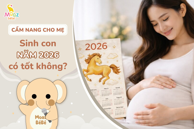 Sinh con năm 2026 có tốt không? Con sinh năm 2026 mệnh gì? 4 sinh con năm 2026 có tốt không