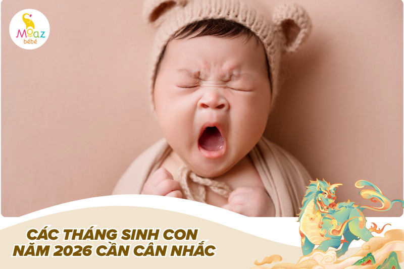 Sinh con năm 2026 tháng nào tốt? Con dễ nuôi, thông minh, khỏe mạnh 5 Các tháng sinh con năm 2026 cần cân nhắc