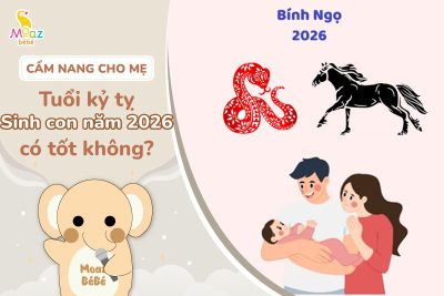 Tuổi Kỷ Tỵ sinh con năm 2026 có tốt không?