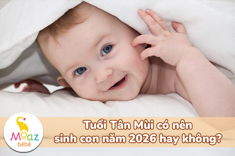 Tuổi Tân Mùi sinh con năm 2026 có tốt không? 3 Tuổi Tân Mùi có nên sinh con năm 2026 hay không?