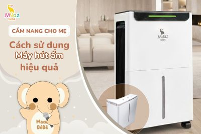 Cách sử dụng máy hút ẩm