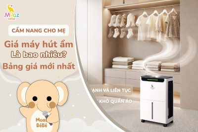 Giá máy hút ẩm hiện nay bao nhiêu tiền?
