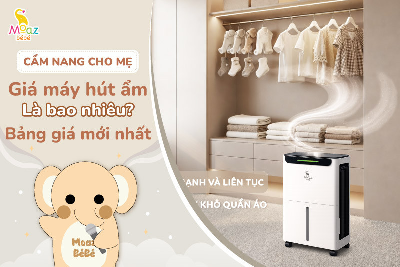 Giá máy hút ẩm hiện nay bao nhiêu tiền?