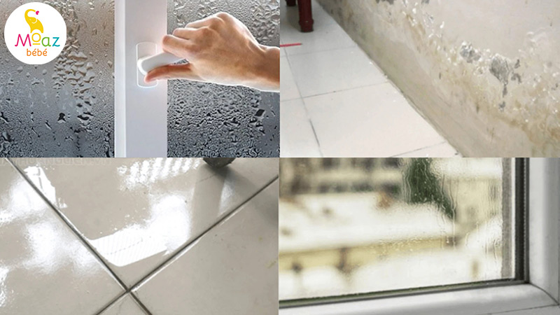 Nên mua máy hút ẩm loại nào tốt dùng cho gia đình? 3 Vì sao nên sử dụng máy hút ẩm trong gia đình